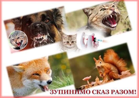 профілактика сказу
